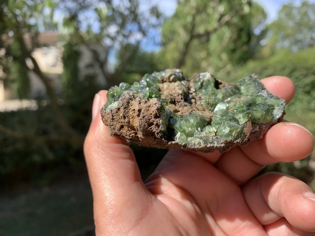Vivianite verte sur matrice – Géode ouverte – Brésil