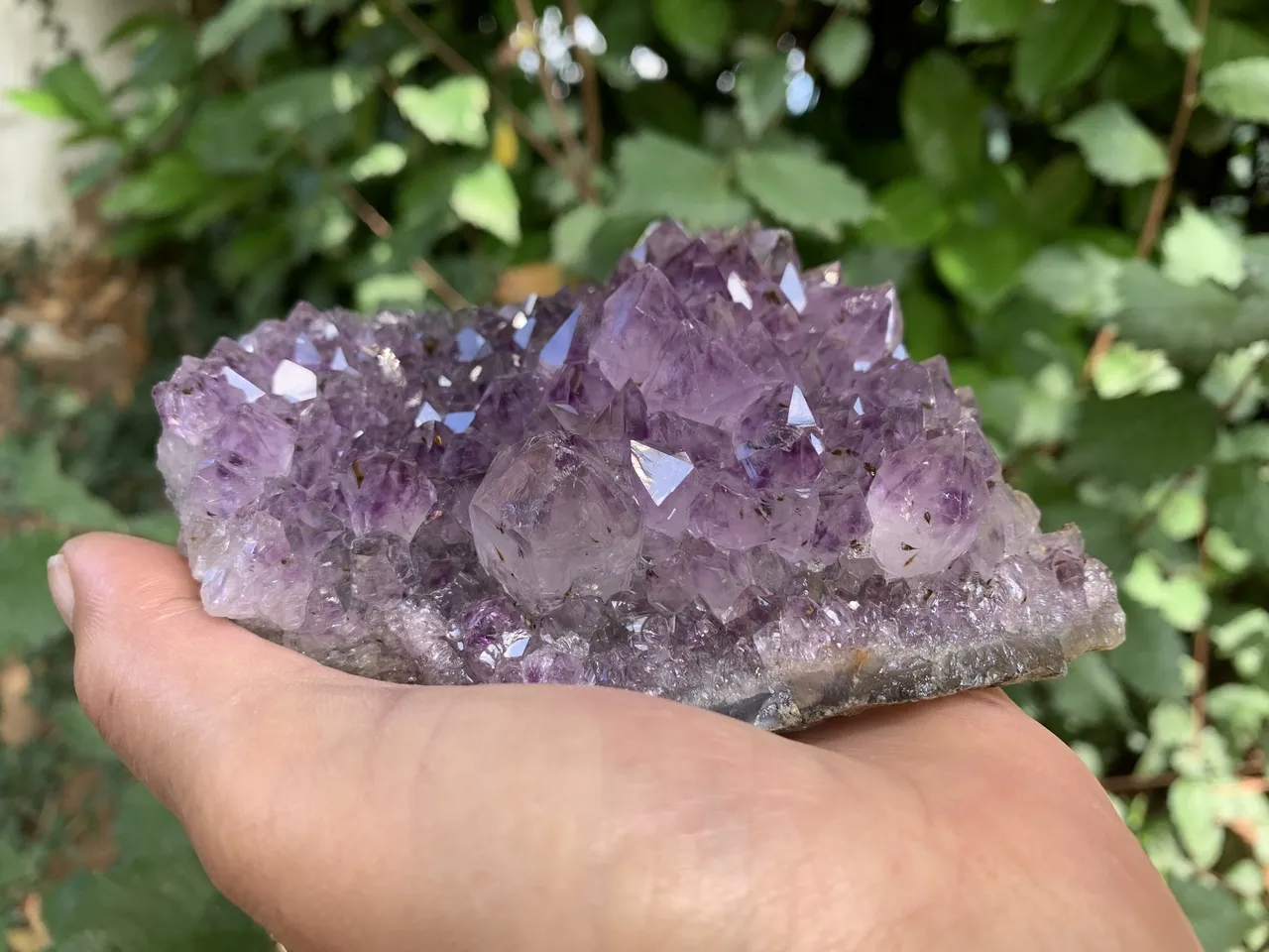 Améthyste — Druse naturelle à inclusions de fer — Brésil