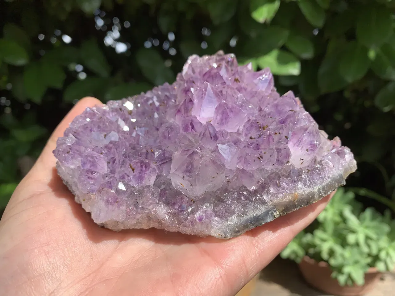 Améthyste — Druse naturelle à inclusions de fer — Brésil