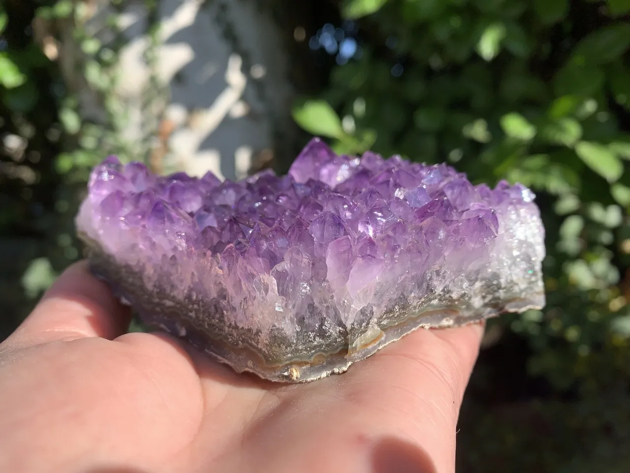 Druse d'Améthyste naturelle — Brésil
