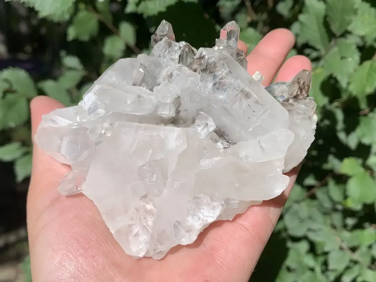 Quartz hyalin à inclusions sur matrice