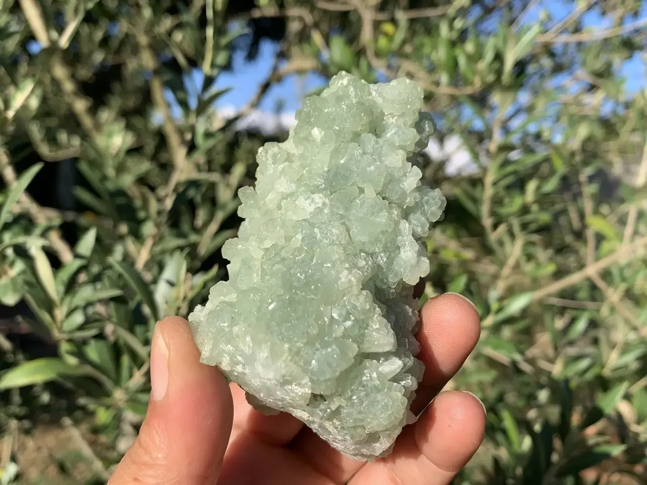 Préhnite verte cristallisée — agrégat botryoïdal naturel (260 g) — Maroc