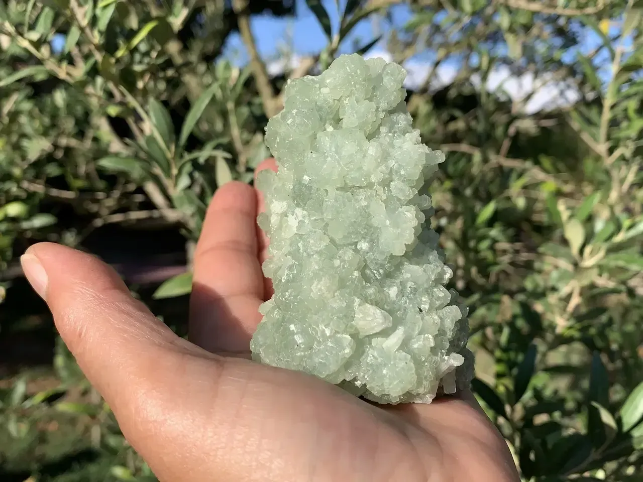 Préhnite verte cristallisée — agrégat botryoïdal naturel (260 g) — Maroc