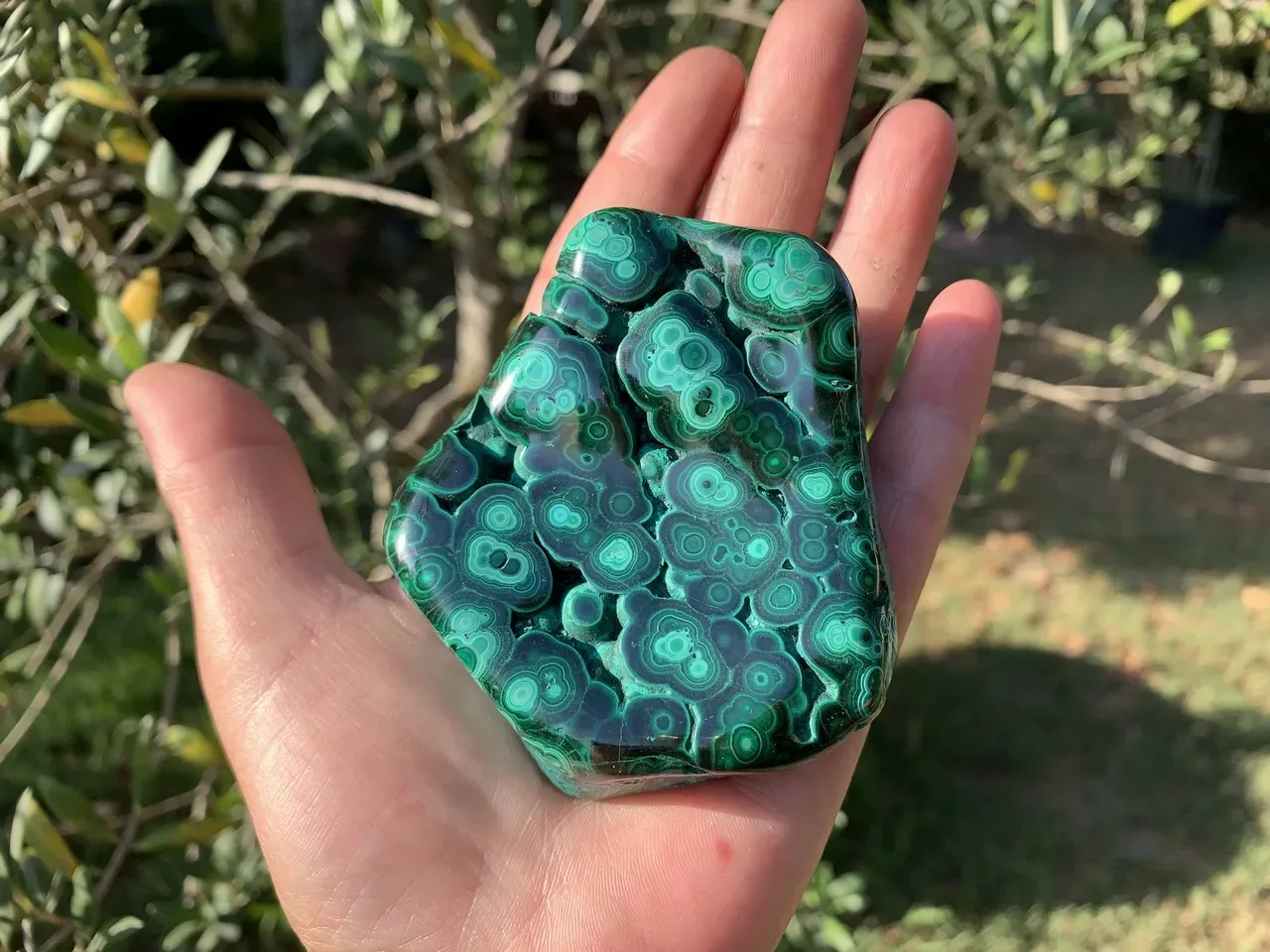 Malachite polie naturelle — Congo