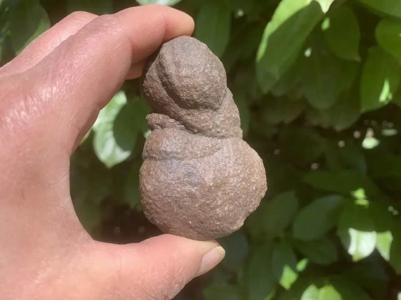 Moqui (Utah) – concrétion ferrugineuse à 3 nodules soudés – 8,5 cm