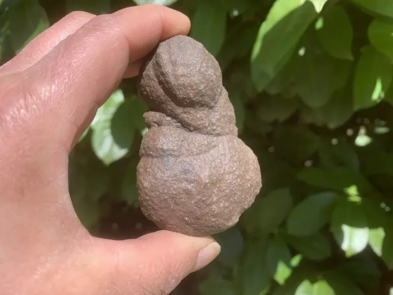 Moqui (Utah) – concrétion ferrugineuse à 3 nodules soudés – 8,5 cm