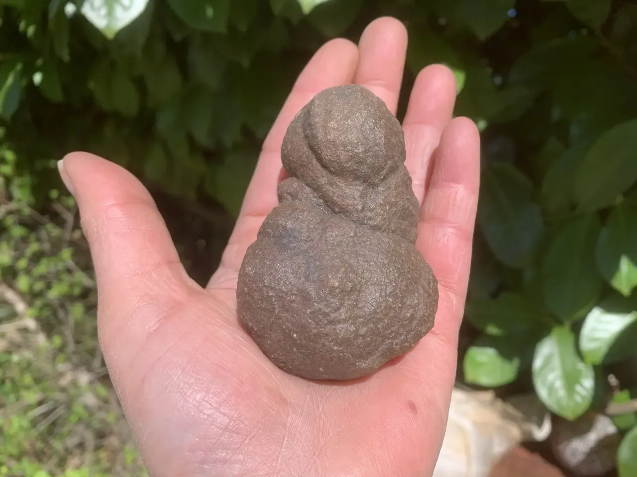 Moqui (Utah) – concrétion ferrugineuse à 3 nodules soudés – 8,5 cm