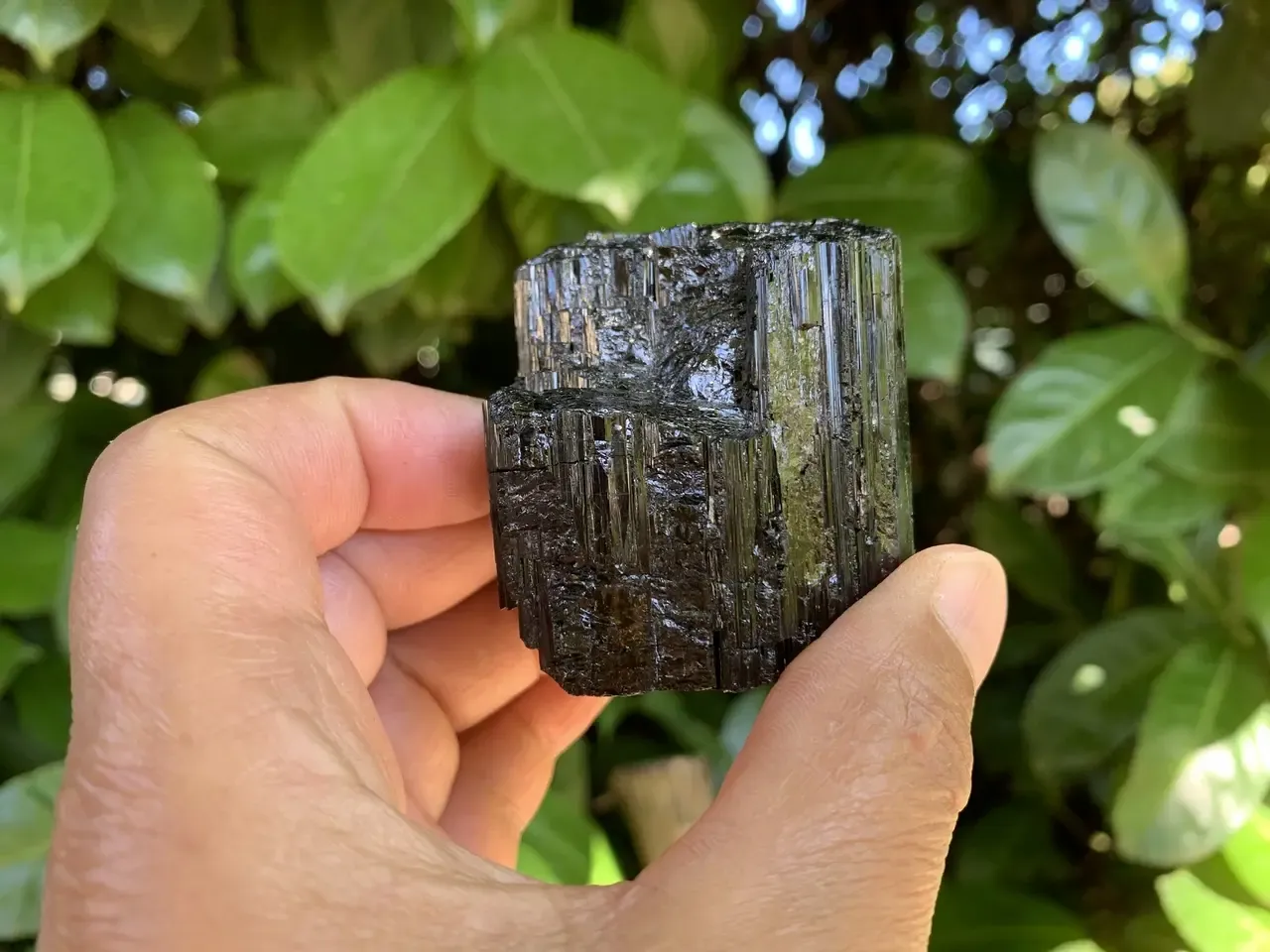 Tourmaline noire (Schorl) cristallisée — Spécimen naturel — Brésil