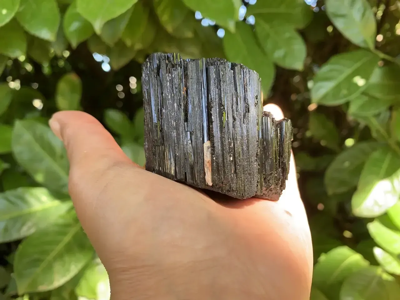 Tourmaline noire (Schorl) cristallisée — Spécimen naturel — Brésil