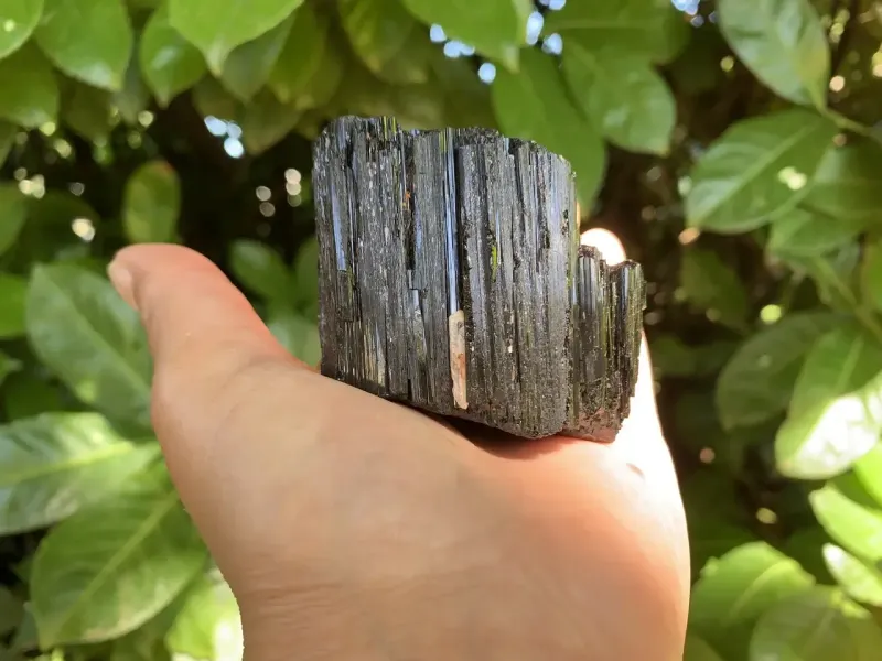 Tourmaline noire (Schorl) cristallisée — Spécimen naturel — Brésil