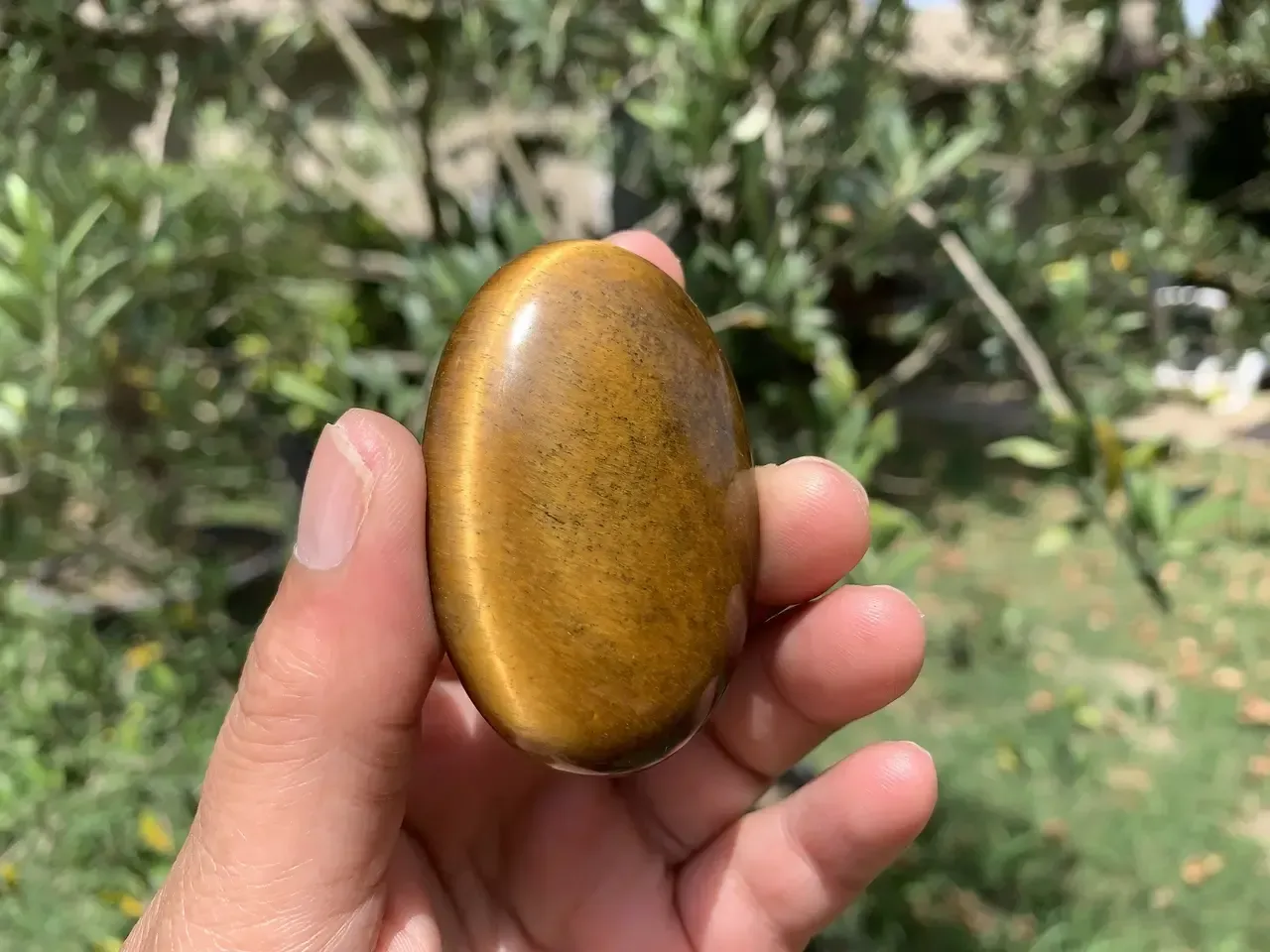 Galet œil de tigre naturel — Namibie