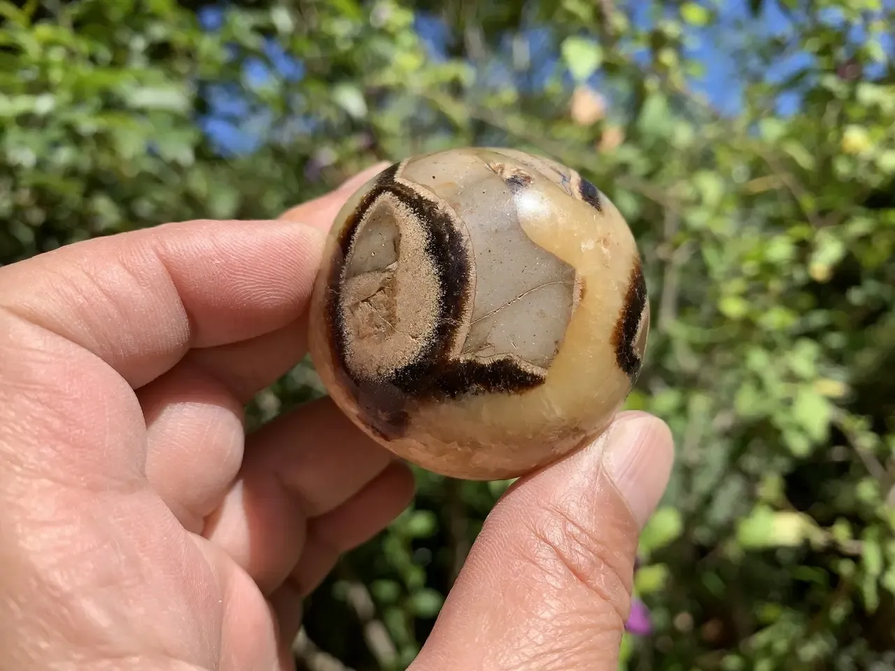 Septaria naturelle — galet cristallisé — Madagascar