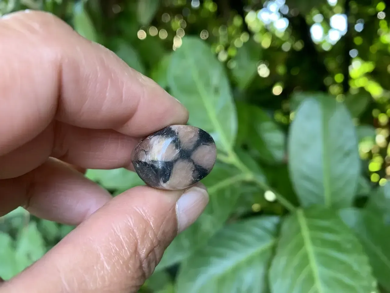 Pierre roulée Chiastolite naturelle — Chine