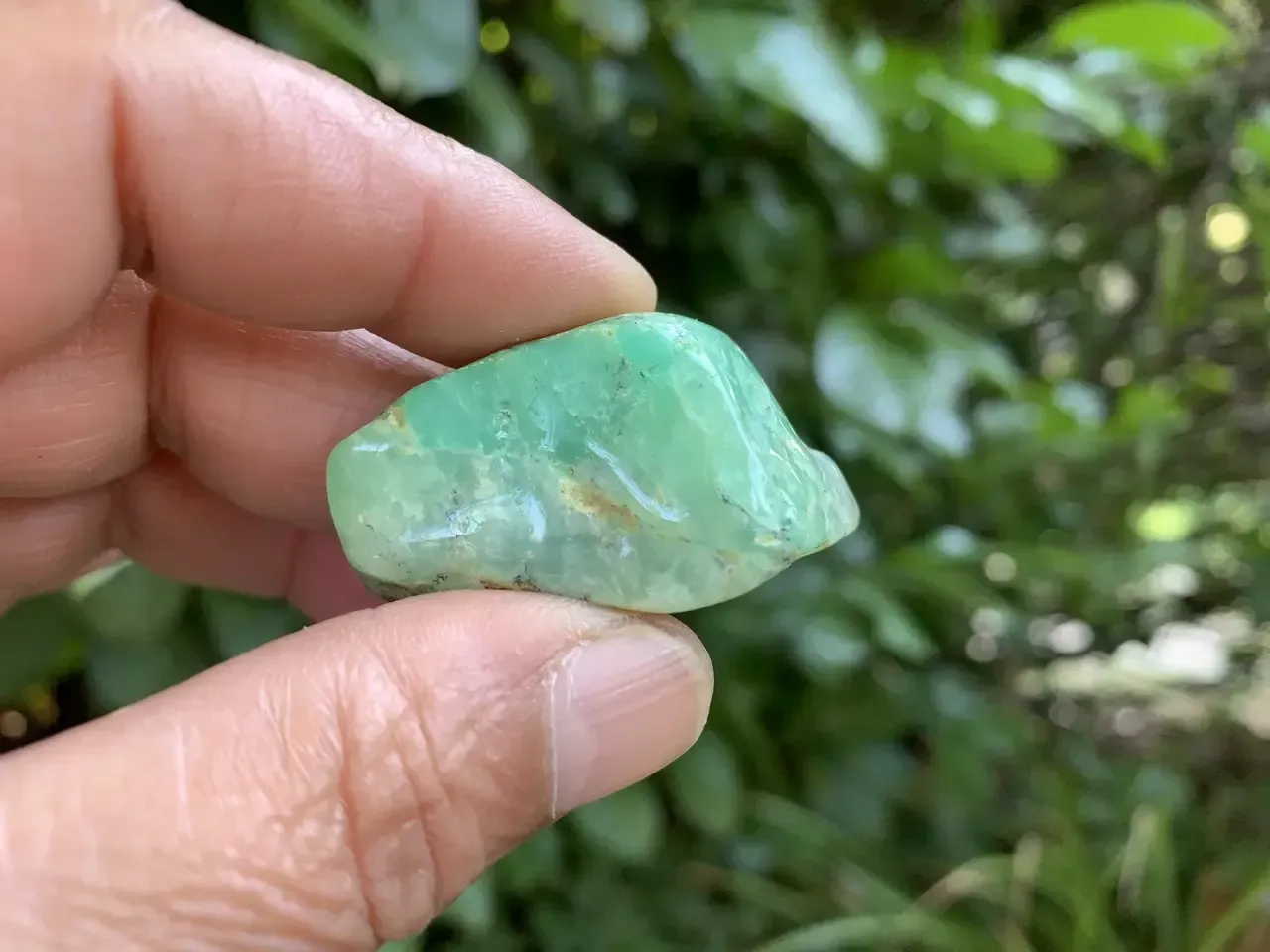 Chrysoprase naturelle — pierre polie — Australie