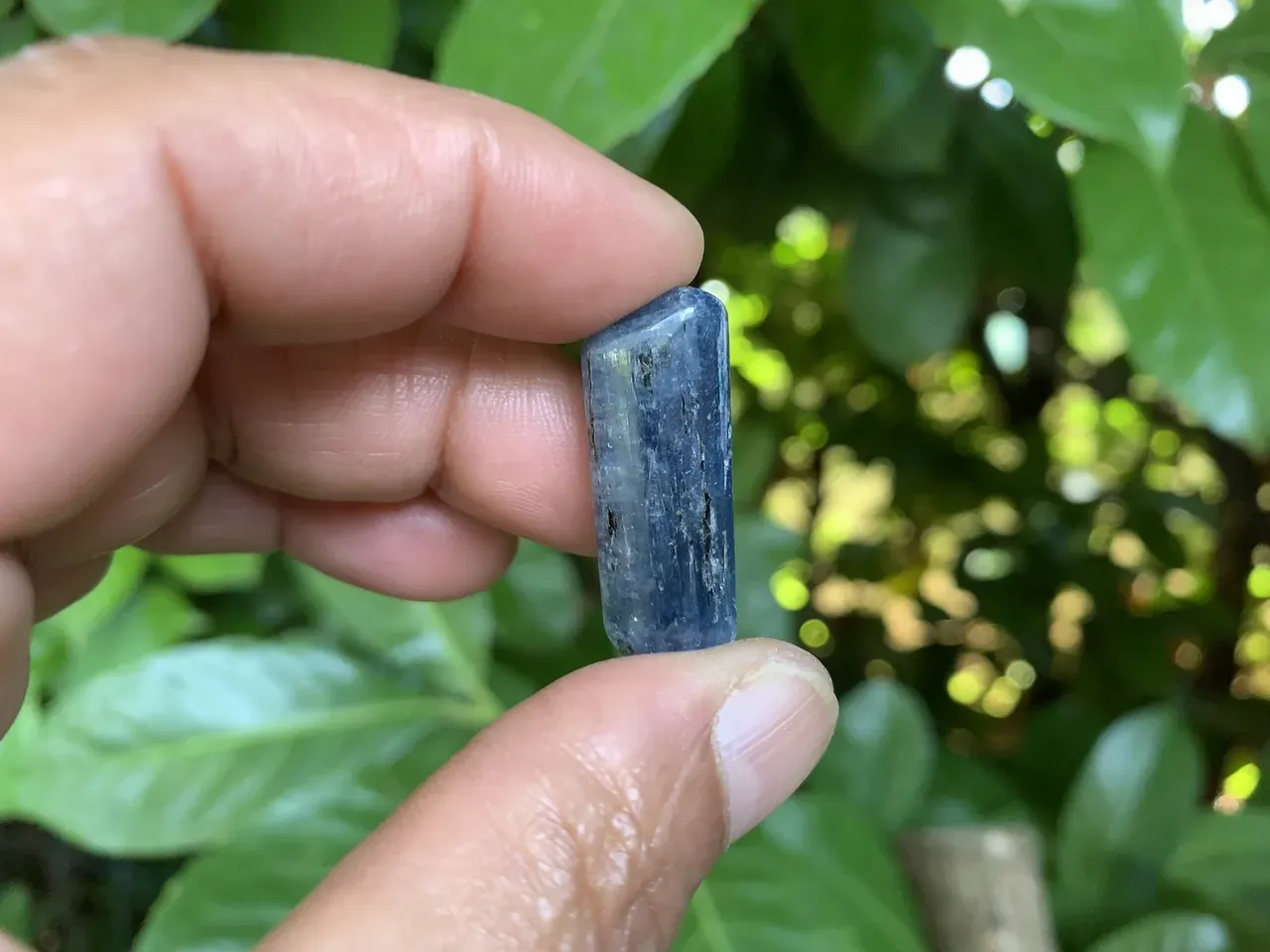 Pierre roulée Cyanite bleue naturelle (Kyanite) — Inde