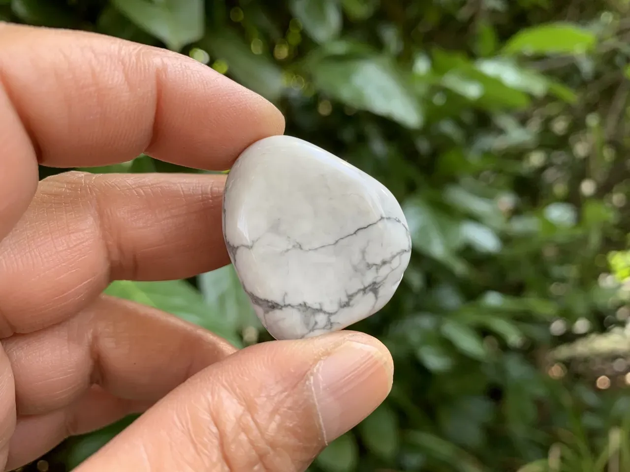 Pierre roulée Howlite naturelle — Canada