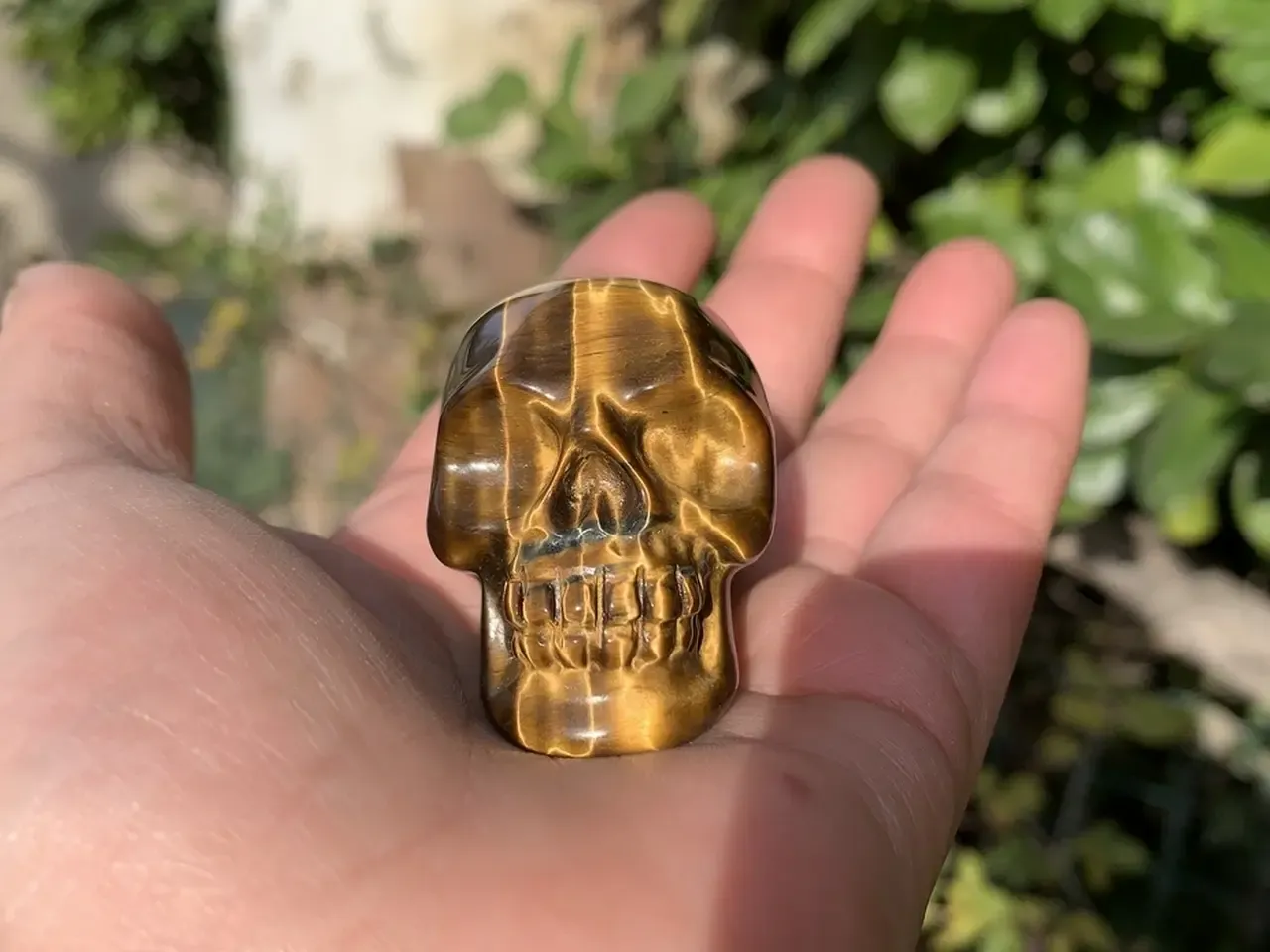 Crâne Œil-de-Tigre naturel — 5 cm — pièce unique