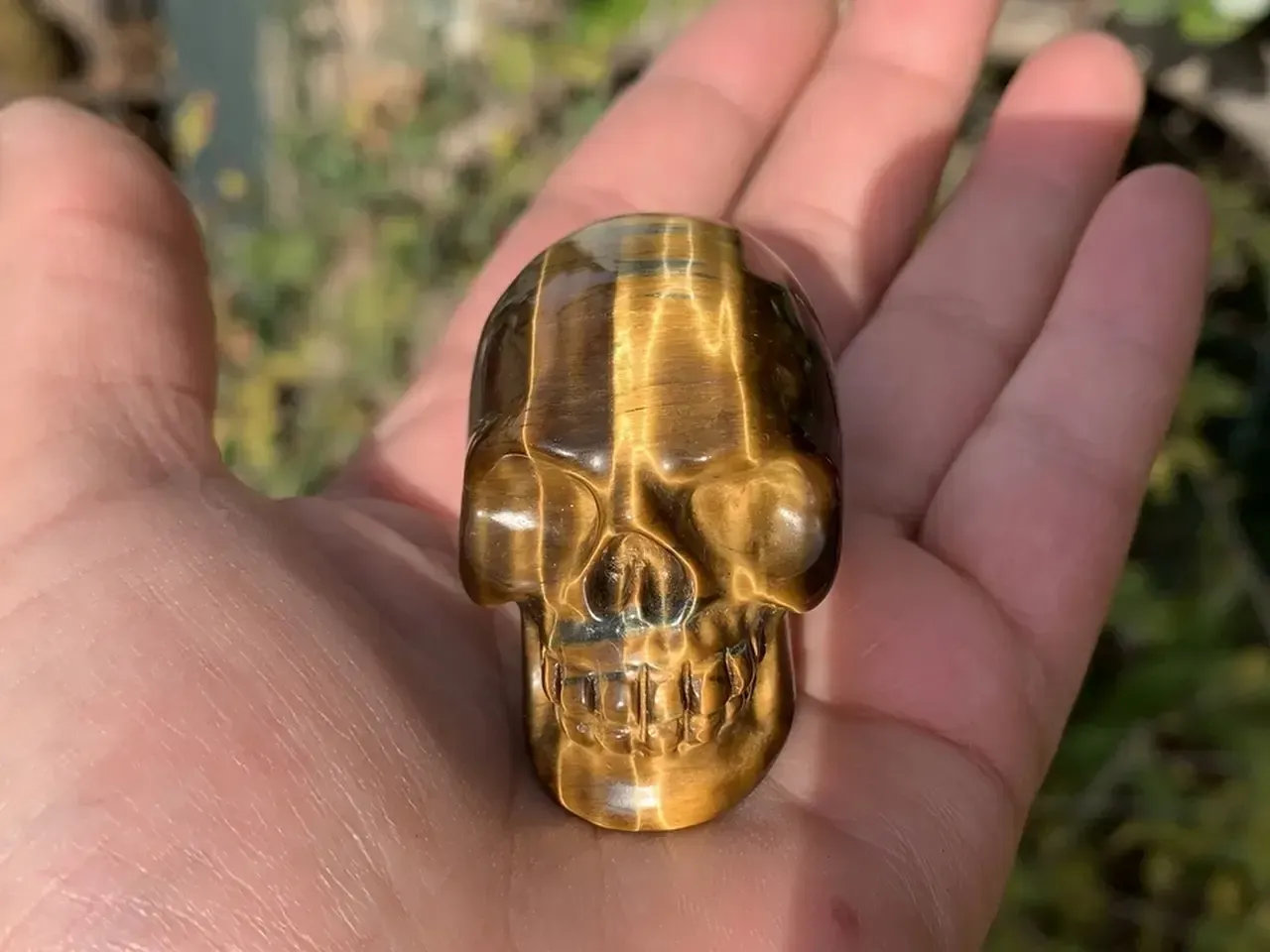Crâne Œil-de-Tigre naturel — 5 cm — pièce unique