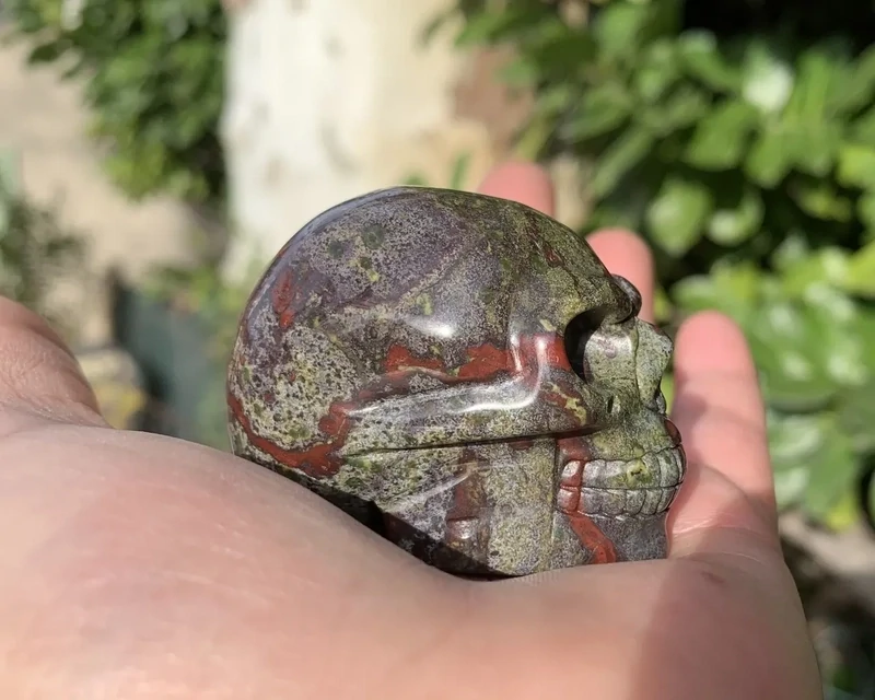 Crâne Jaspe sang de dragon naturel – 5 cm – pièce unique
