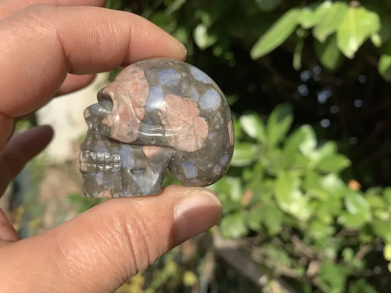 Crâne Libérite naturelle – 5 cm – pièce unique