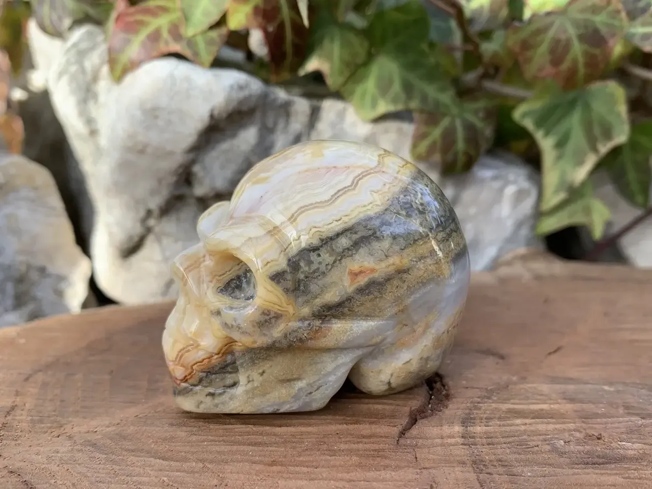 Crâne Agate crazy lace naturelle – 5 cm – pièce unique