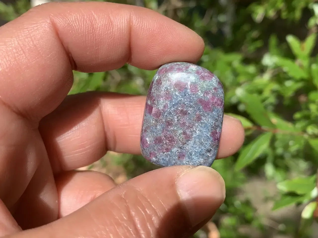 Rubis sur Cyanite bleue naturelle — Inde