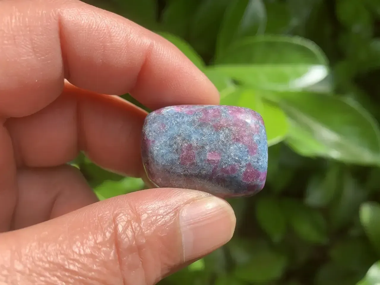 Rubis sur Cyanite bleue naturelle — Inde