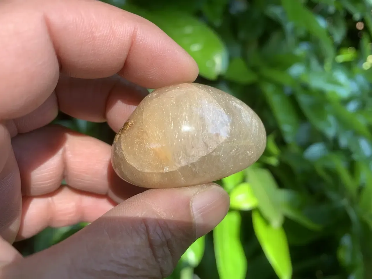 Galet quartz rutilé doré naturel — Brésil