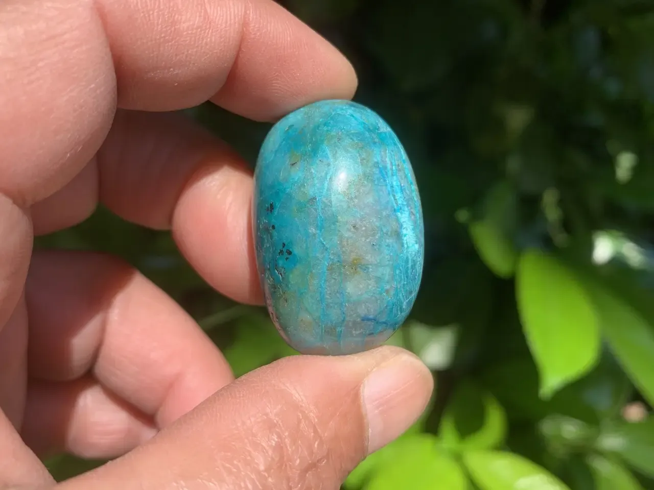 Chrysocolle-Shattuckite naturelle — Namibie