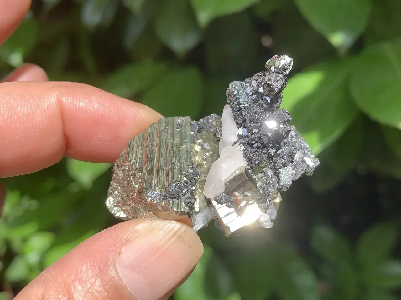 Agrégat Pyrite cubique, Sphalérite et Quartz — Brésil