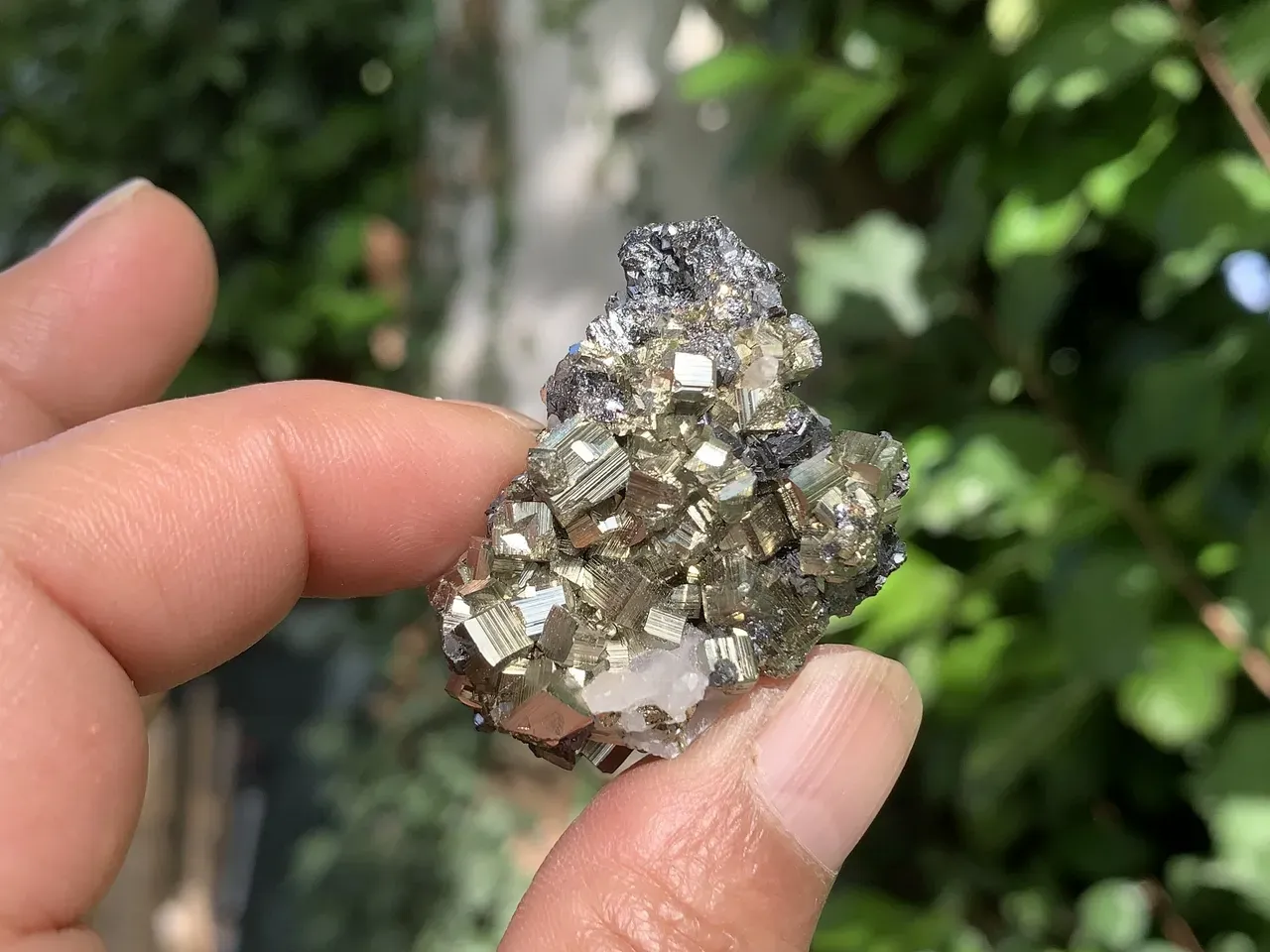 Pyrite cubique, sphalérite et quartz — Minéral brut du Brésil