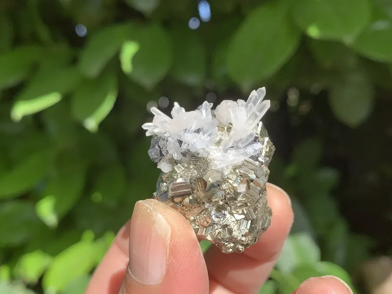 Agrégat pyrite, quartz aciculaire et sphalérite — Brésil Agrégat pyrite, quartz aciculaire et sphalérite — Brésil