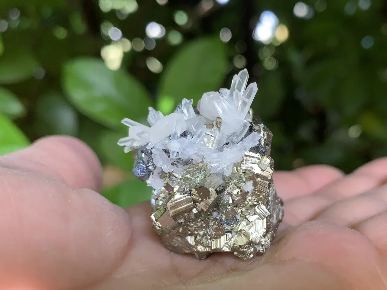Agrégat pyrite, quartz aciculaire et sphalérite — Brésil