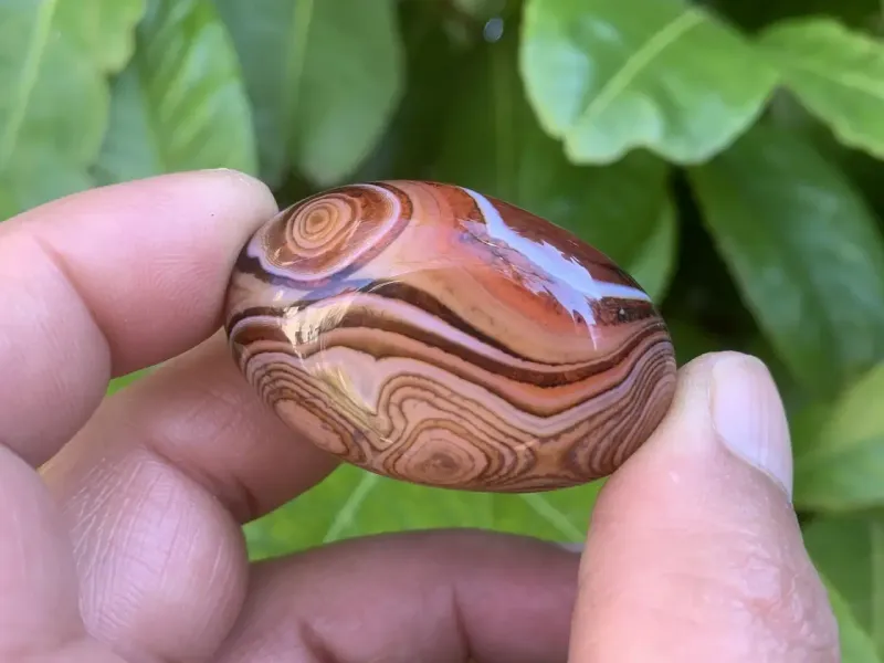 Galet Sardonyx naturelle — Botswana