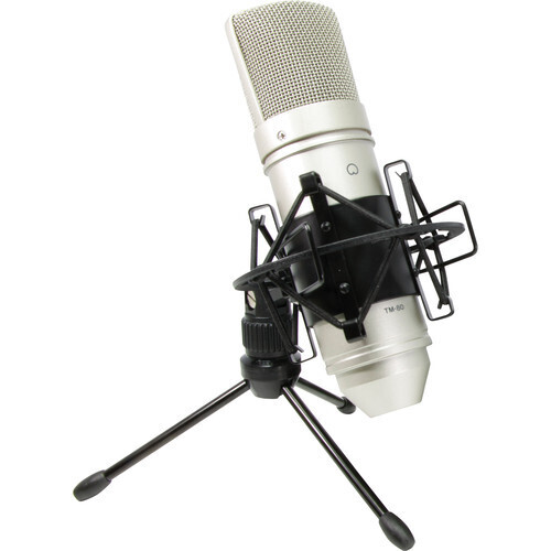 TASCAM TM-80 Large-Diaphragm Cardioid Condenser Microphone