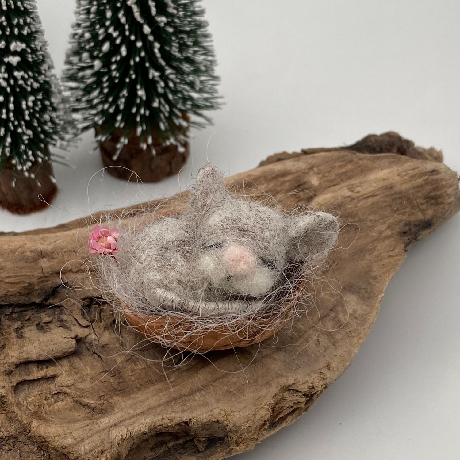 Mini Mäuschen in der Baumnuss