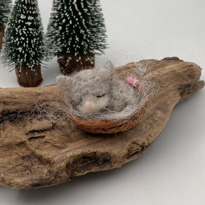 Mini Mäuschen in der Baumnuss