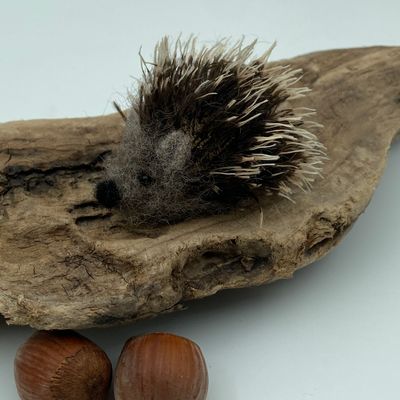 Igel