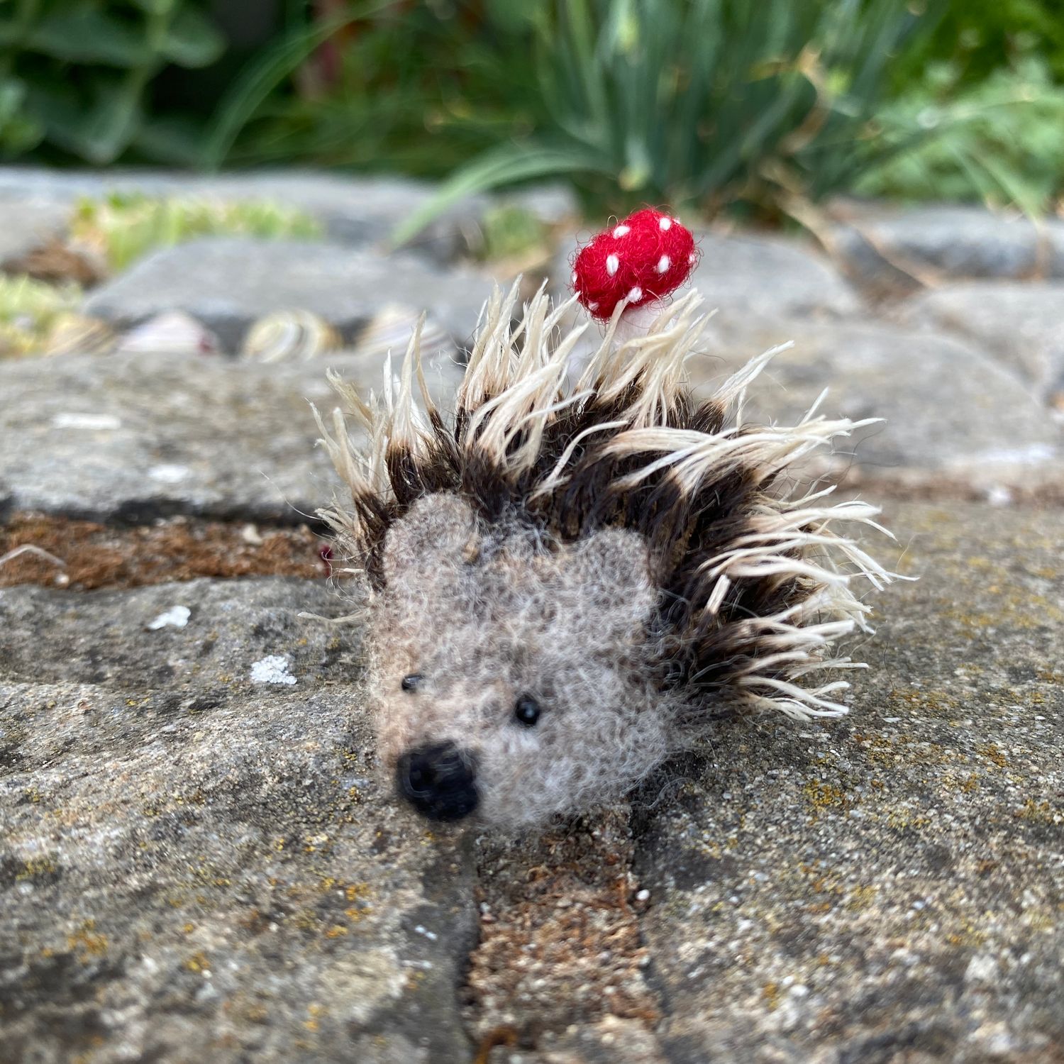 Igel mit Glück