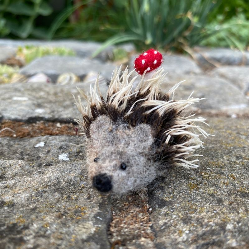 Igel mit Glück