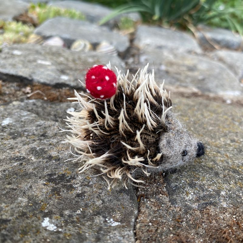 Igel mit Glück