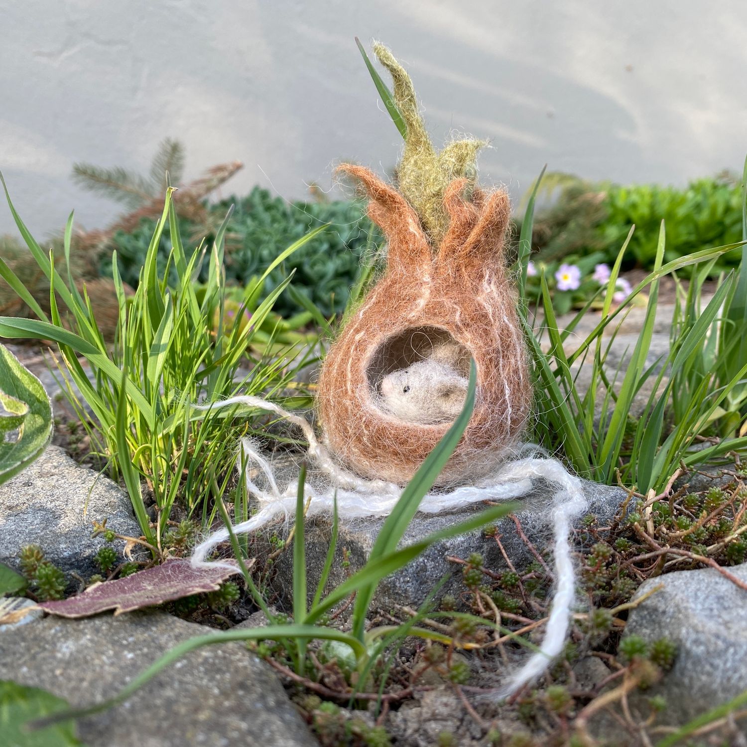 Blumenzwiebeln angefressen