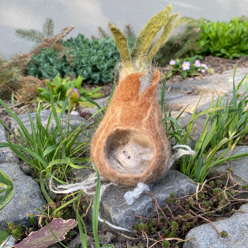 Blumenzwiebeln angefressen