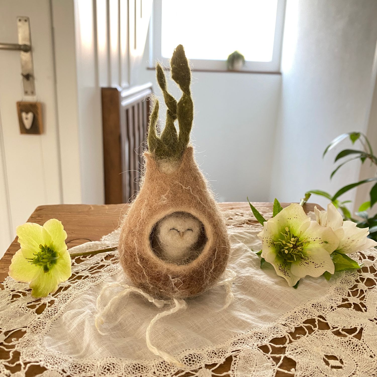 Blumenzwiebeln bewohnt