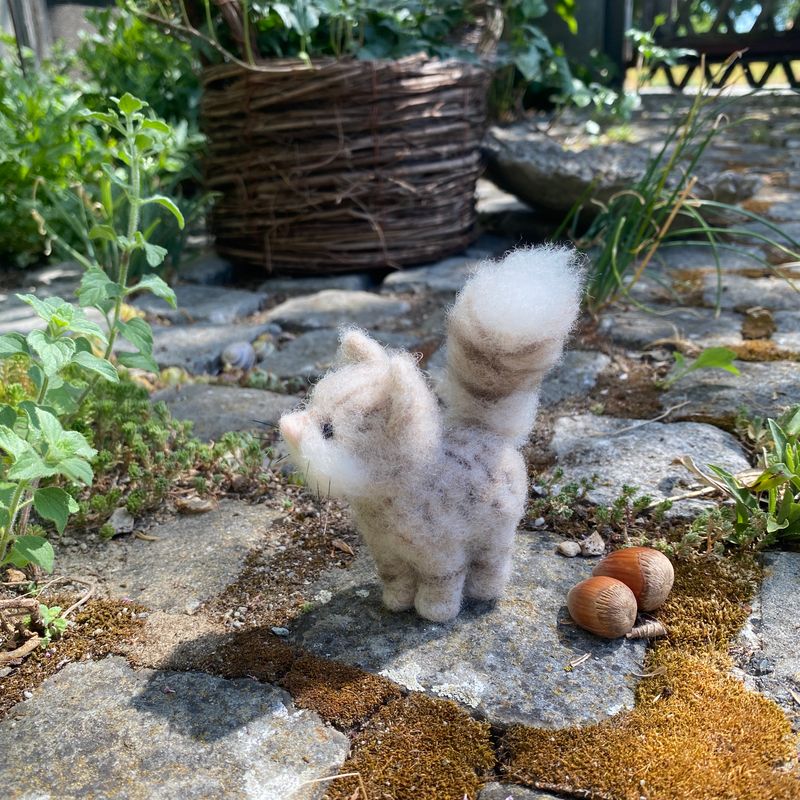 Kater