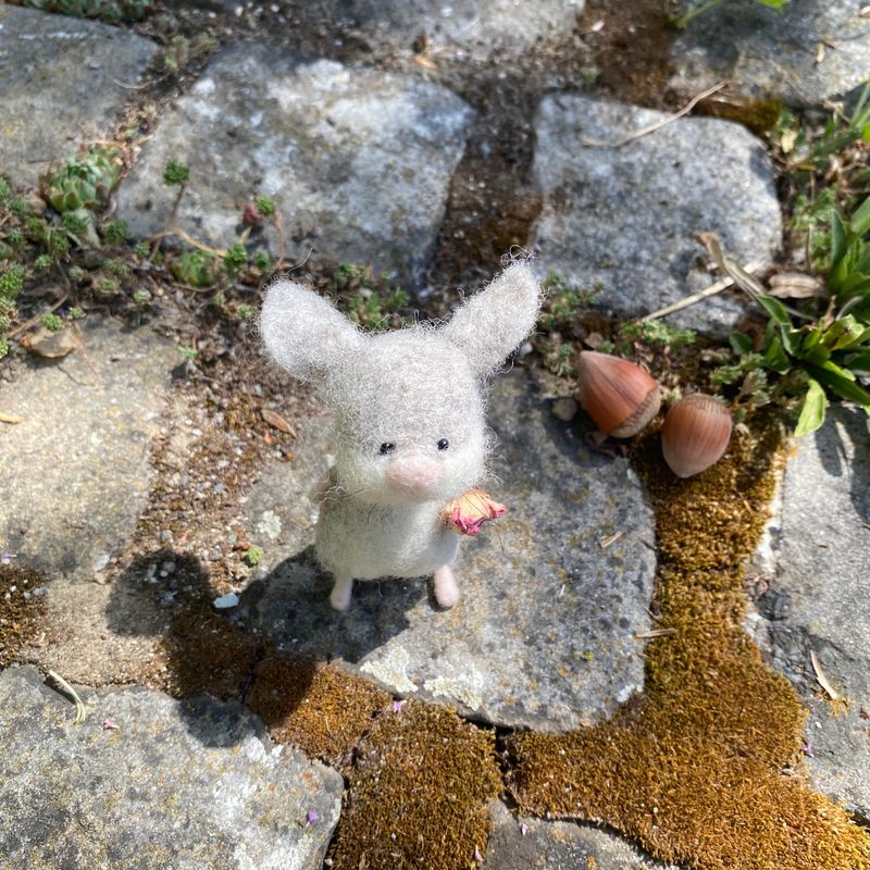 Maus mit Rösleli