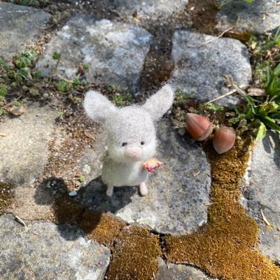 Maus mit Rösleli