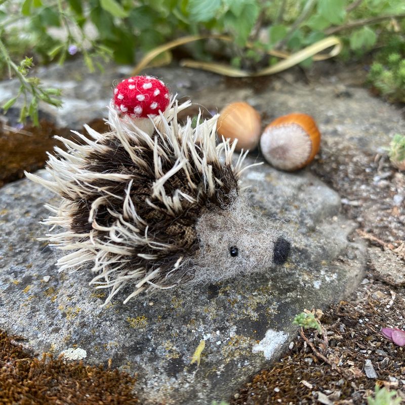 Igel mit Glück
