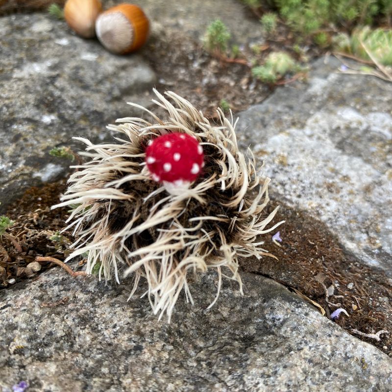 Igel mit Glück