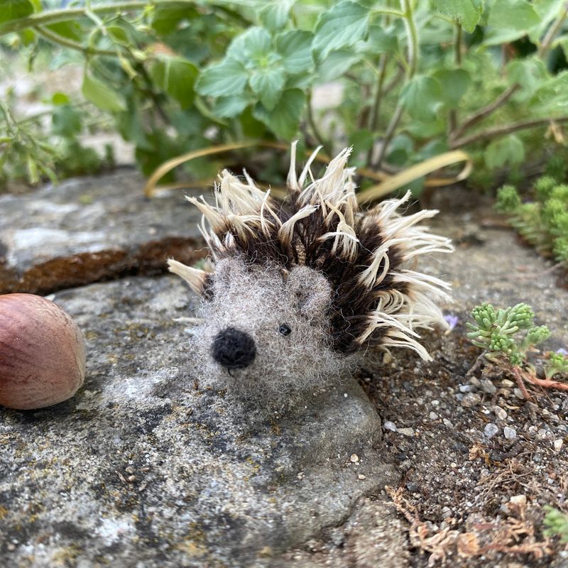 Igel
